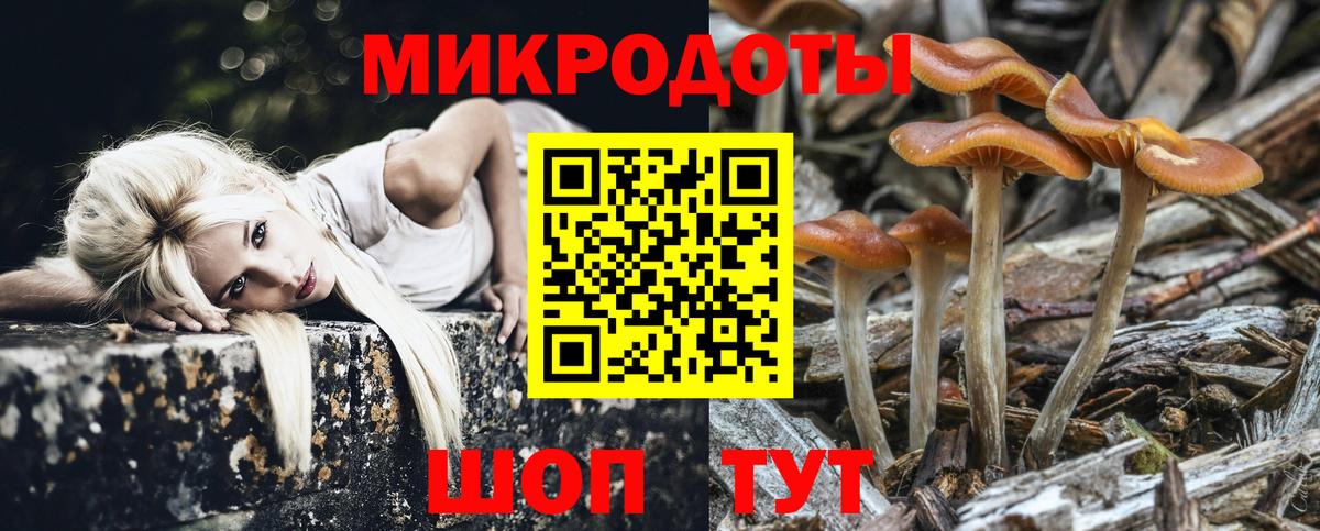 закладки  Вход с VPN  Батайск  Псилоцибиновые грибы ЛСД 